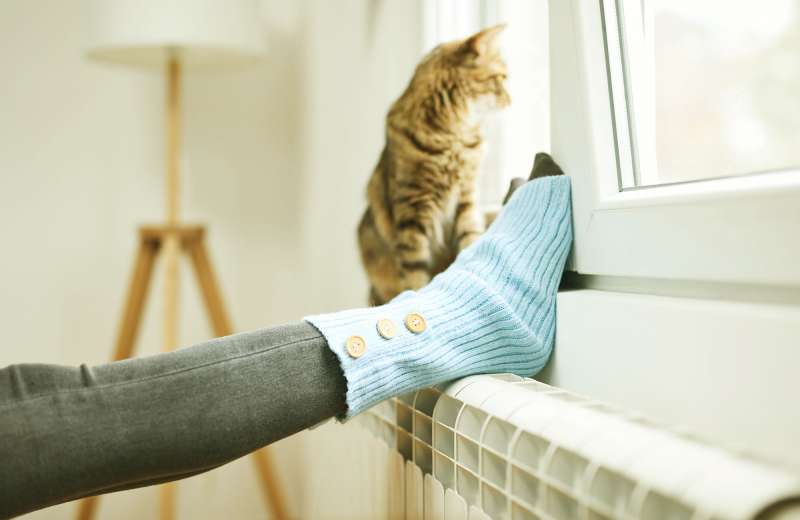 2000x 1200_0003_Womans-feet-with-woolen-socks,-domestic-cat,-enjoying-inside-home-on-the-radiator.-1360567188_8235x5490